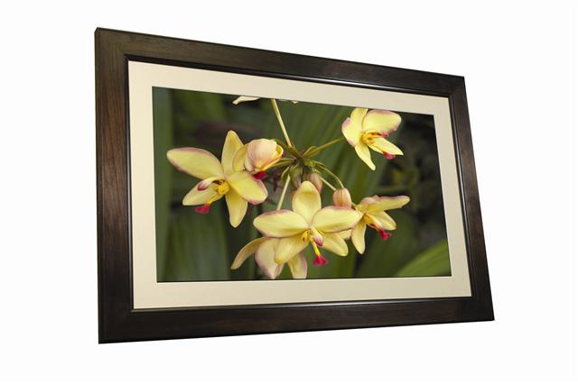 CES 2008: Smartparts to introduce 32-inch SP3200 digital photo frame